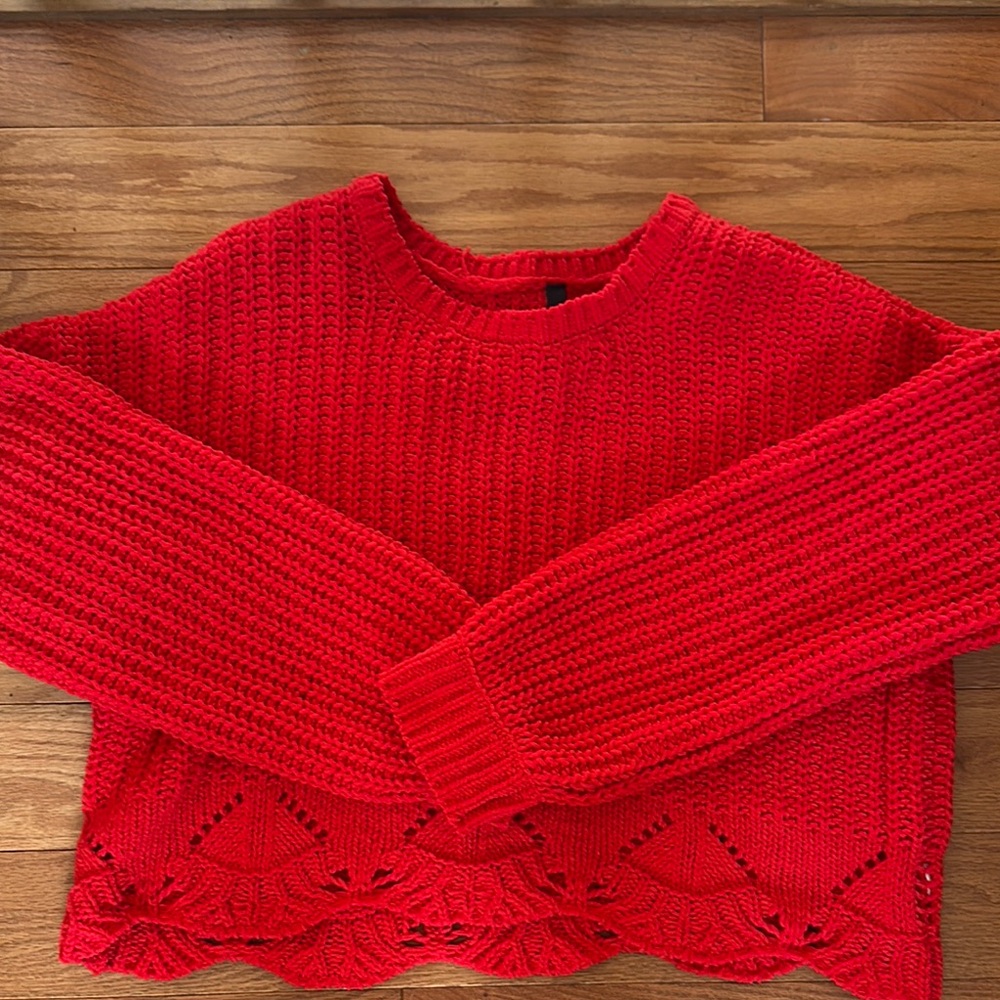 Francesca's Collections Red Crew Neck Sweater with Distinctive Knit Patterns